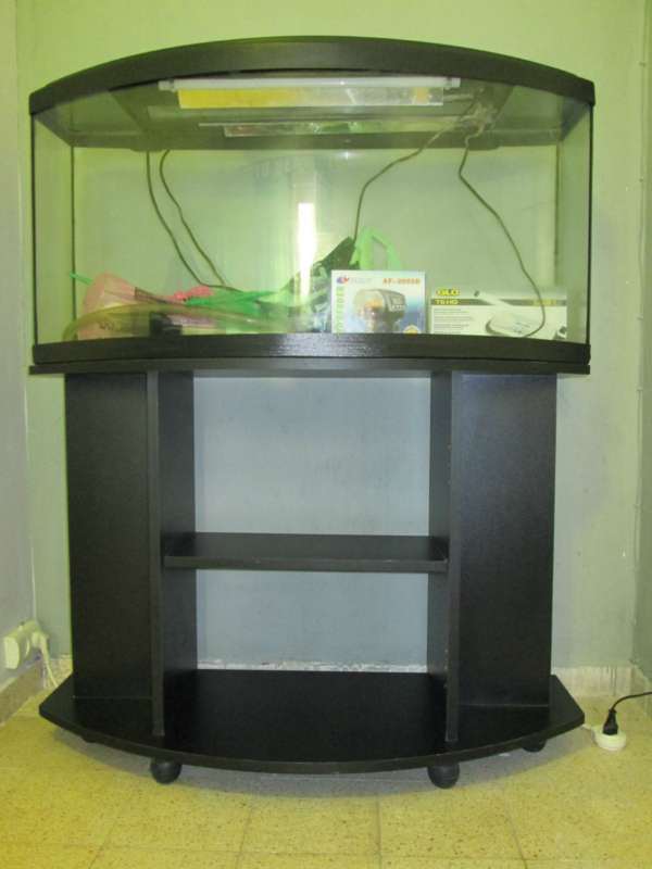 תמונה 1 ,דגים אקוואריום   אקווריום למכירה בגבעתיים