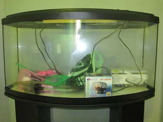 תמונה 2 ,דגים אקוואריום   אקווריום למכירה בגבעתיים
