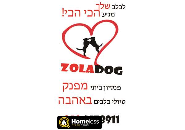 תמונה 4 ,כלבים אחר   הולכת כלבים דוגווקרית דוגסיטינג בתל אביב -יפו