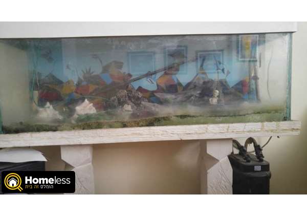 תמונה 1 ,דגים אקוואריום   אקווריום למכירה ברמת גן