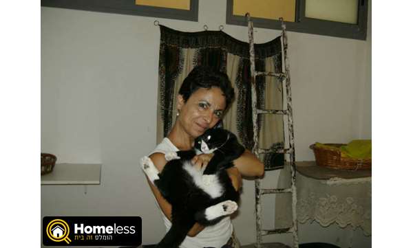 תמונה 3 ,חתולים כללי   פנסיון ביתי דוגסיטינג בתל אביב