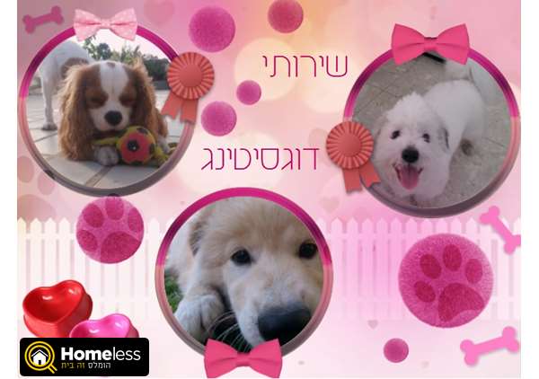 תמונה 1 ,כלבים אחר   פנסיון ביתי בתל אביב דוגסיטינג בתל אביב
