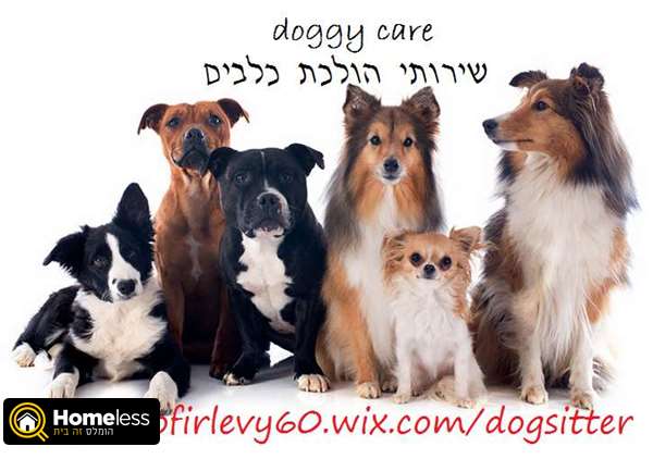 תמונה 4 ,כלבים אחר   פנסיון ביתי בתל אביב דוגסיטינג בתל אביב