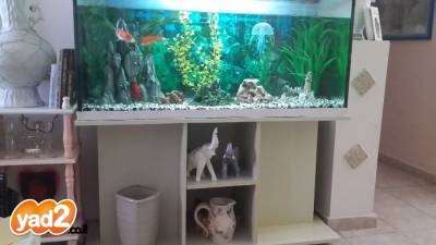 תמונה 2 ,דגים אקוואריום   אקוואריום למכירה בנצרת עילית