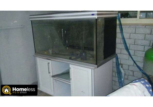 תמונה 2 ,דגים אקוואריום    למכירה בבית שאן