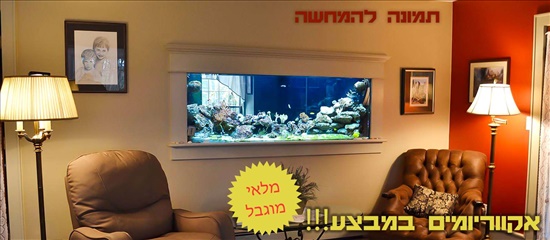 אקווריומים דגים - אקוואריום