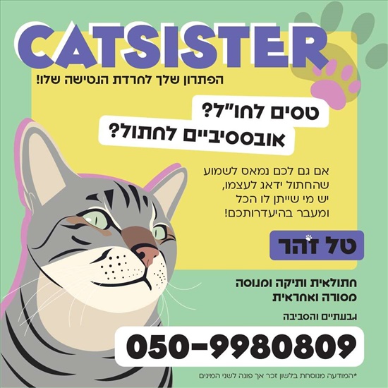 לא רלוונטי חתולים - כללי