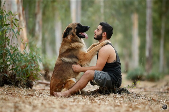 כלב גדול - חבר לחיים