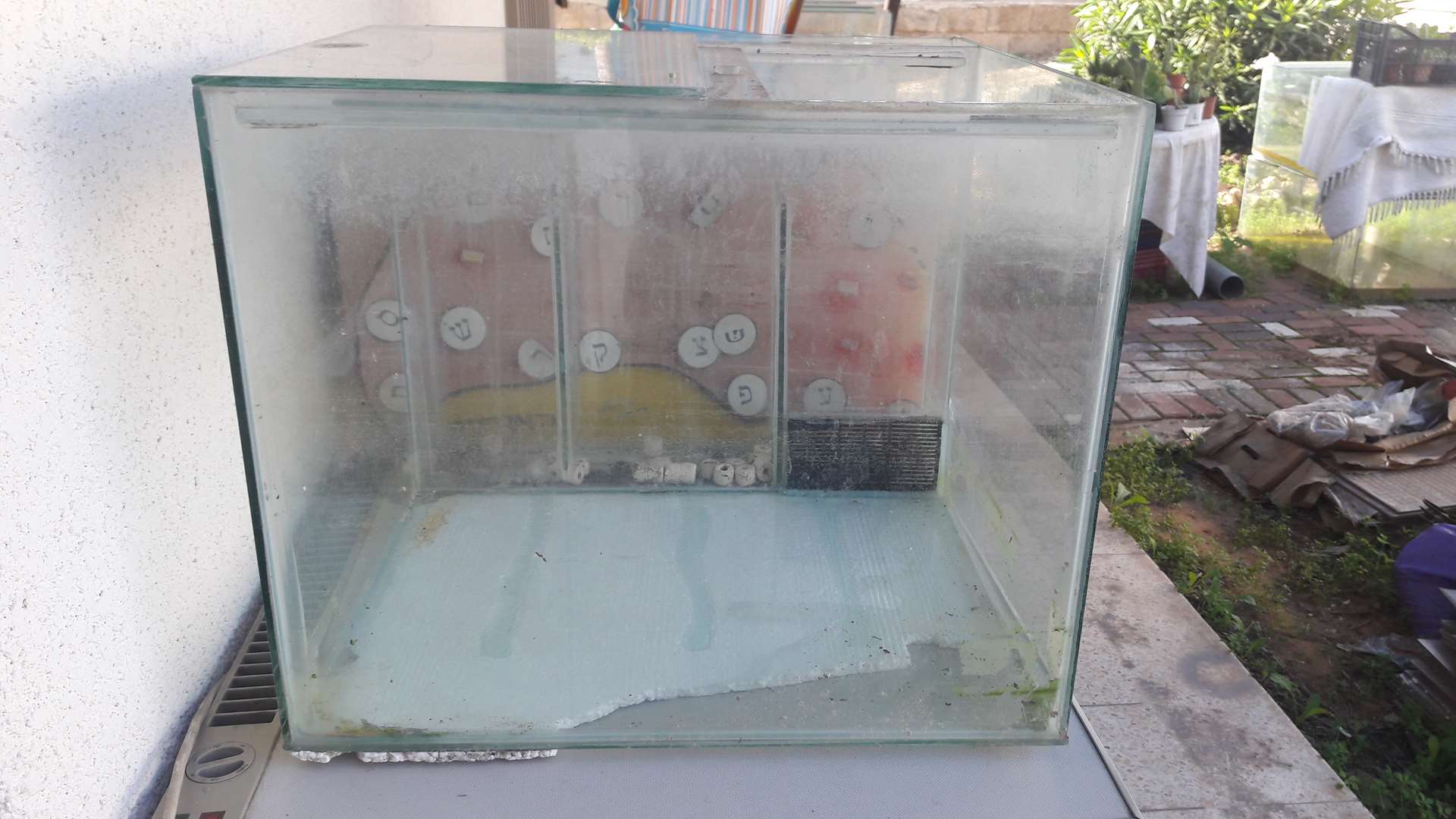 תמונה 1 ,דגים אקוואריום   אקוריומים למכירה בפתח תקווה