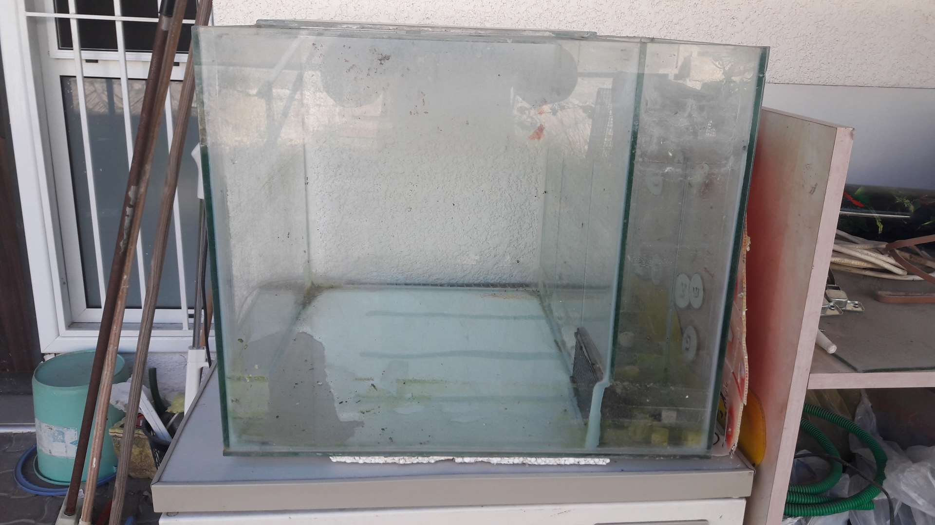 תמונה 2 ,דגים אקוואריום   אקוריומים למכירה בפתח תקווה