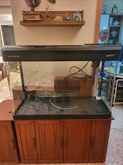 תמונה 1 ,דגים אקוואריום   אקווריום למכירה בנהריה