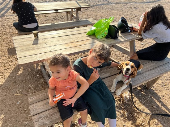 תמונה 5 ,פנסיונים פנסיון לכלבים   חברים על ארבע 😁 דוגסיטינג בכפר חסידים א'