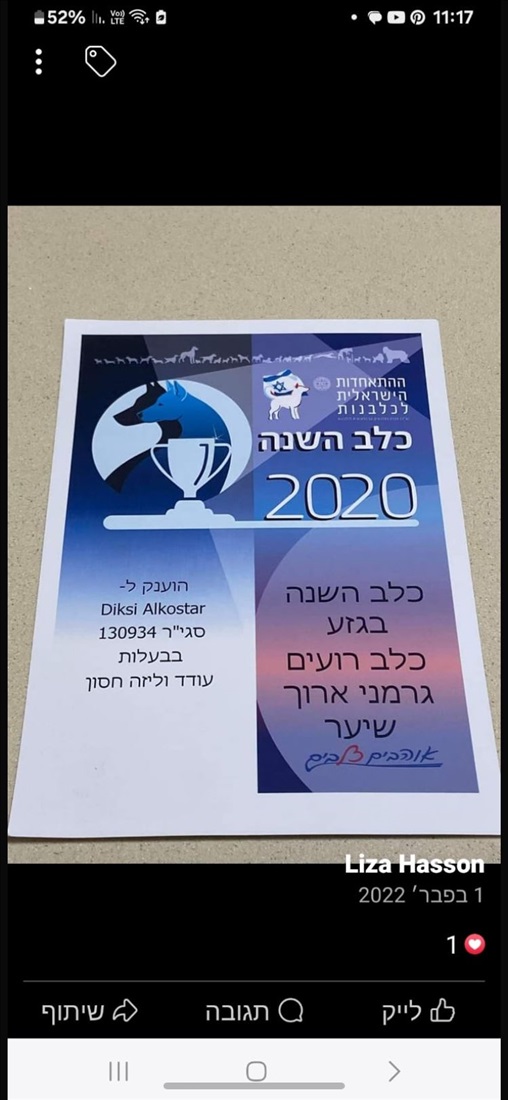 תמונה 2 ,כלבים רועה גרמני   דיקסי למכירה בגדרה