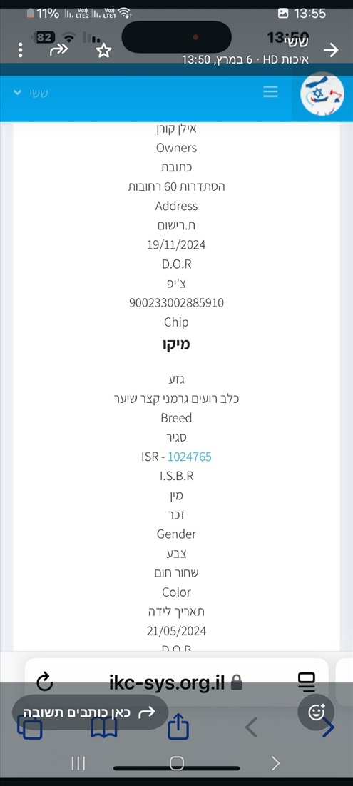 תמונה 7 ,כלבים רועה גרמני   חץ למכירה ברחובות