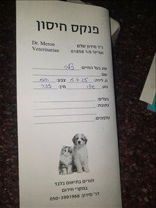 כלבים - שיצו <br>       