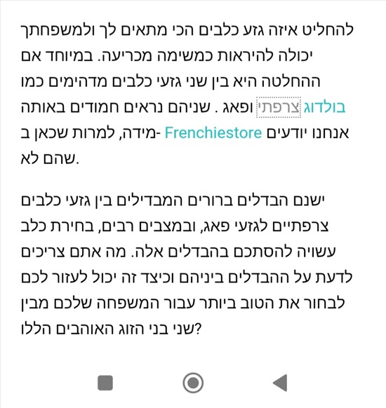 תמונה 6 ,כלבים בולדוג צרפתי   פאג סיני + בולדוג צרפתי = Frug למכירה בנתיבות