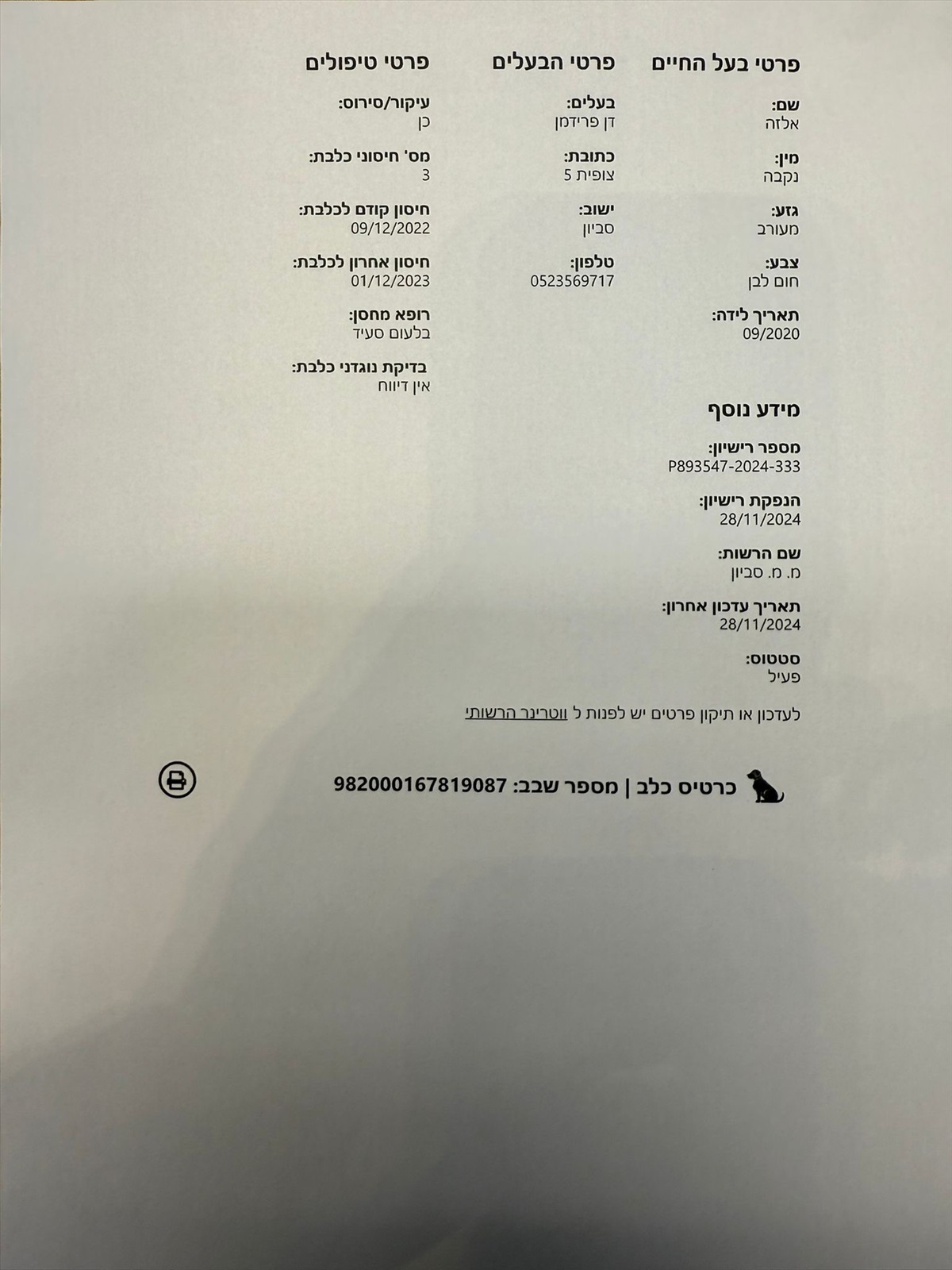 תמונה 1, כלבים | כנעני   | אלזה לאימוץ בסביון