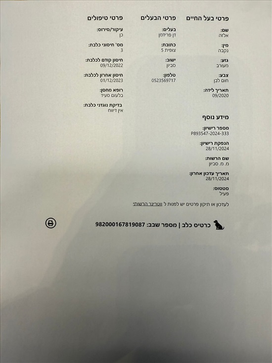 תמונה 1 ,כלבים כנעני   אלזה לאימוץ בסביון