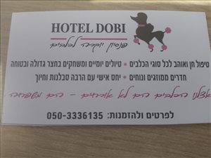 פנסיונים פנסיון לכלבים  
