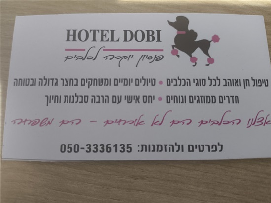 תמונה 1 ,פנסיונים פנסיון לכלבים   איציק דוגסיטינג באשקלון