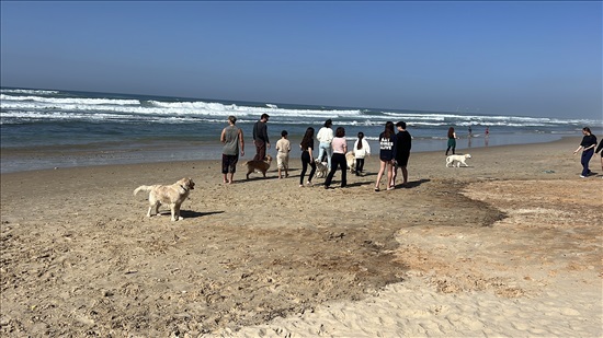 תמונה 7 ,כלבים גולדן רטריבר   גולדן רטריבר  למכירה בחדרה