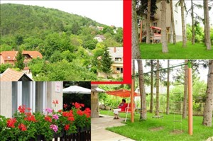 בית פרטי להשכרה 9 חדרים ב Balatonfüred 