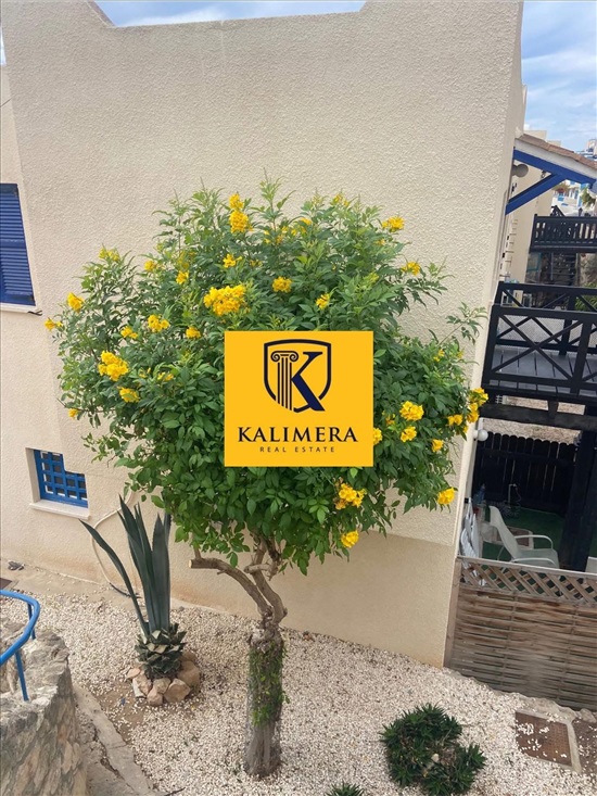 תמונה 3 ,דירה, 2 חדרים, קפריסין, פאפוס