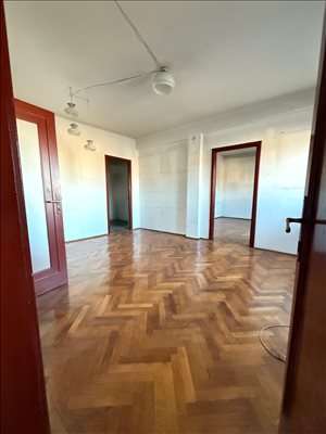 פנטהאוז להשכרה 3.5 חדרים ב Victori romana 