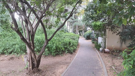 תמונה 11 ,דירה, 3 חדרים, יוון, אתונה