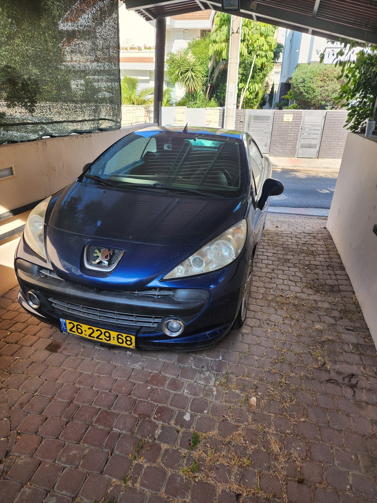 תמונה 1, פיגו
 207 יד 6 2009 | 128000 קמ