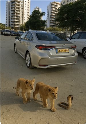 טויוטה קורולה 2019 יד  2 