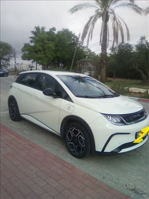 בי.ווי.די דולפין 2024 יד2 