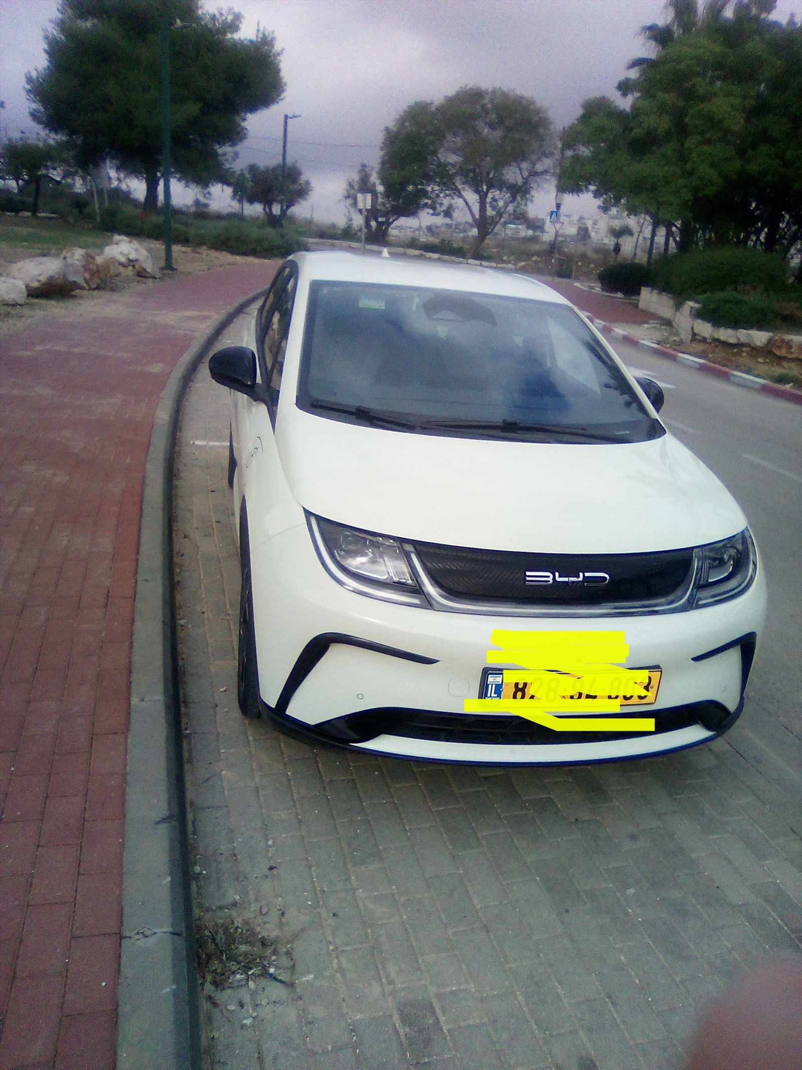 תמונה 2, בי.ווי.די דולפין יד 1 2024 | 9800 קמ
