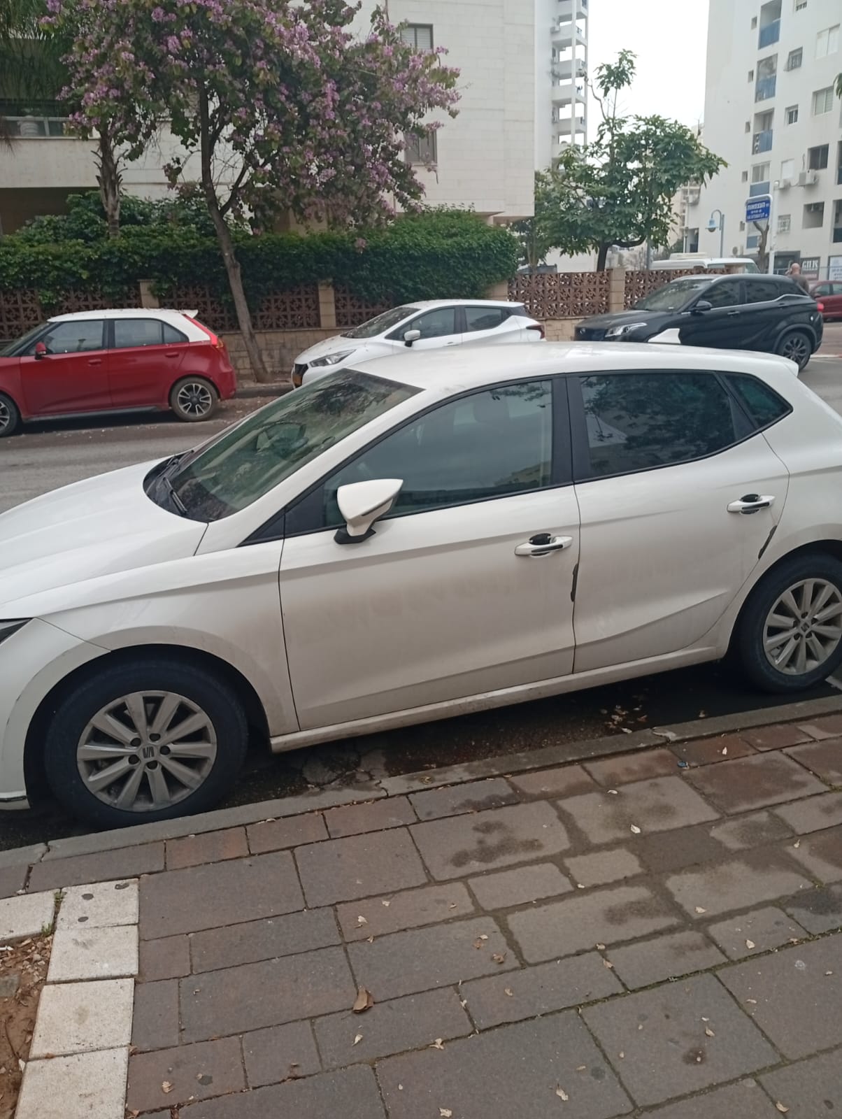 תמונה 2, סיאט איביזה יד 1 2022 | 48000 קמ