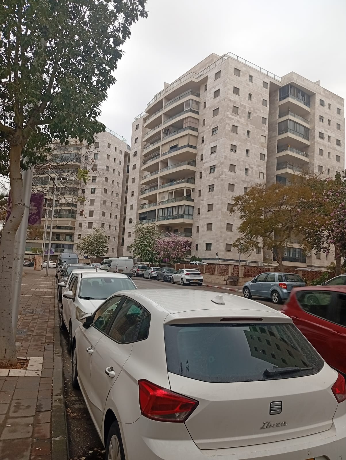 תמונה 3, סיאט איביזה יד 1 2022 | 48000 קמ