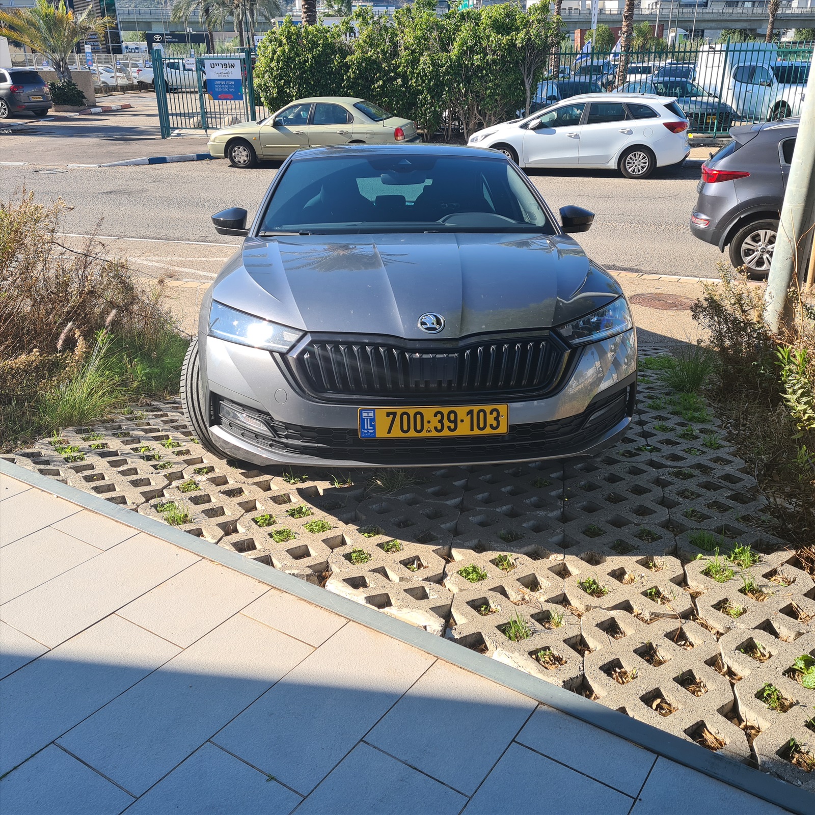 תמונה 2, סקודה אוקטביה יד 1 2024 | 26000 קמ