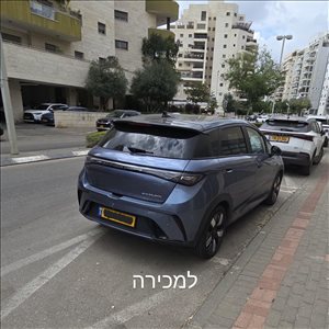 בי.ווי.די דולפין 2024 יד 1 <br>      