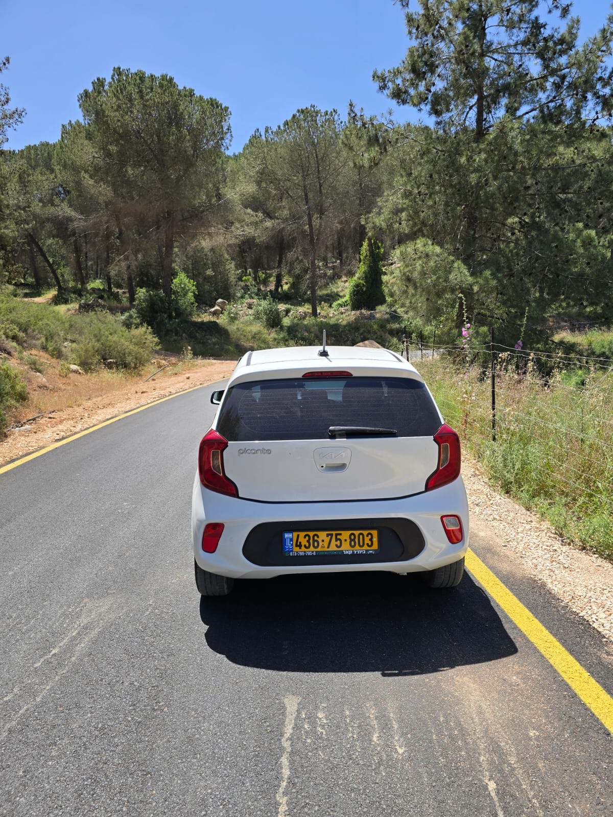 תמונה 3, קיה פיקנטו יד 1 2023 | 108 קמ