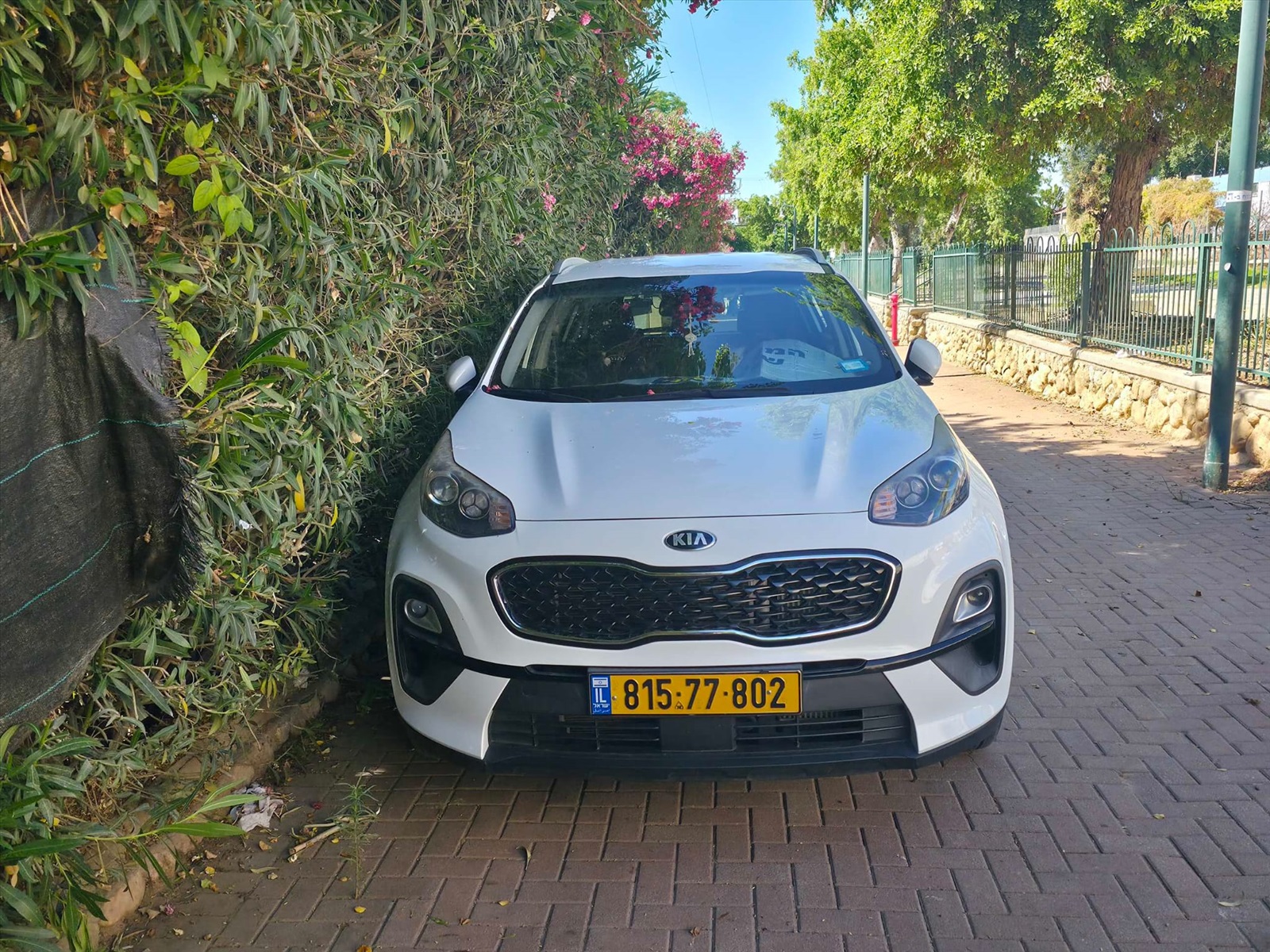תמונה 2, קיה ספורטאז` יד 1 2022 | 56000 קמ