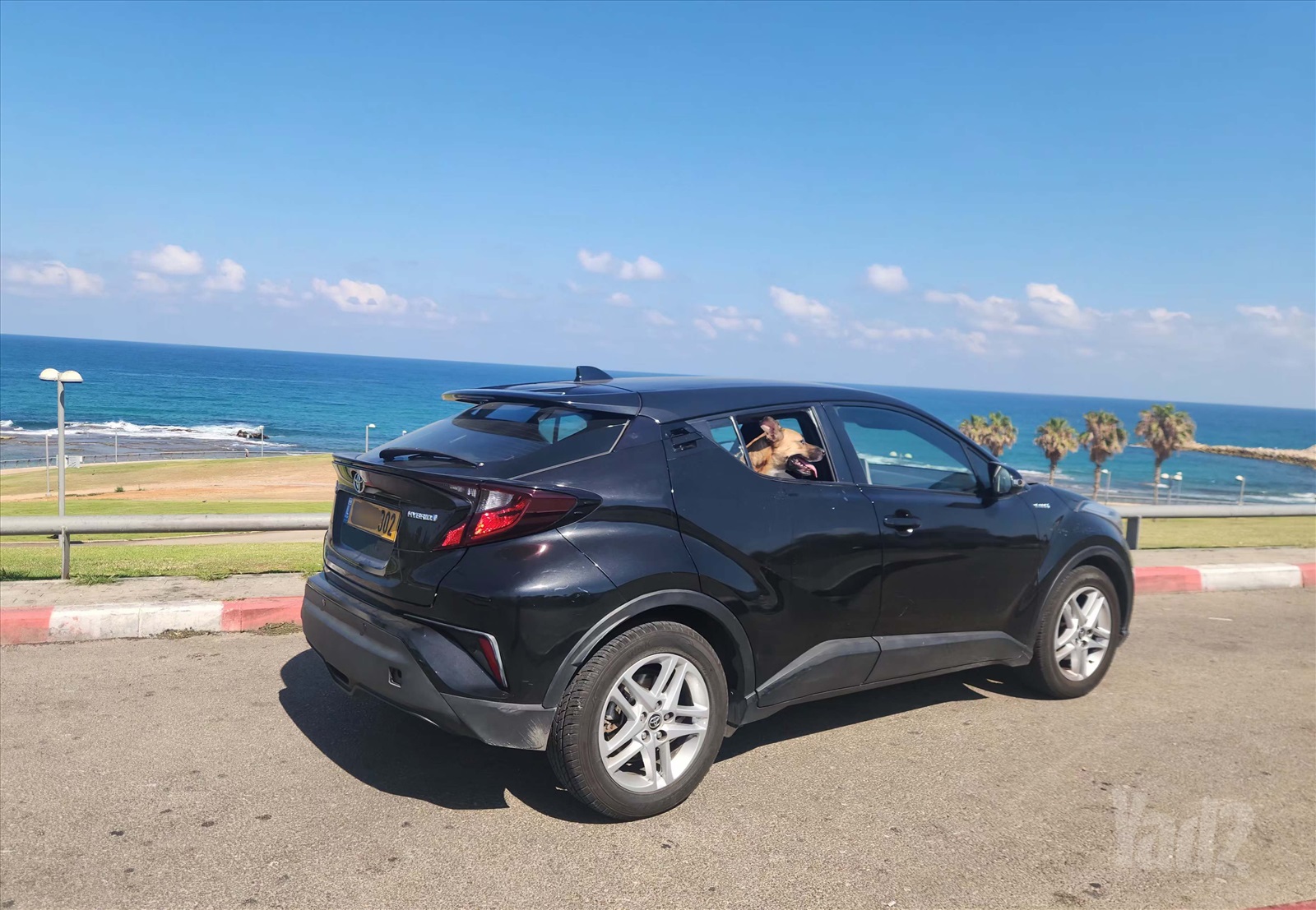 תמונה 2, טויוטה C-HR יד 2 2021 | 72000 קמ