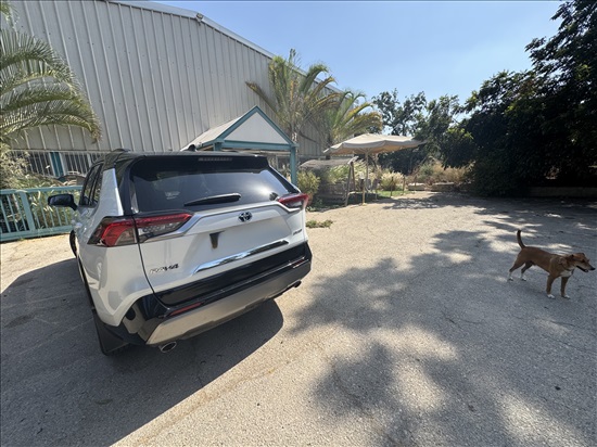 תמונה 7 ,טויוטה RAV4 יד 1 2024 29800 ק"מ
