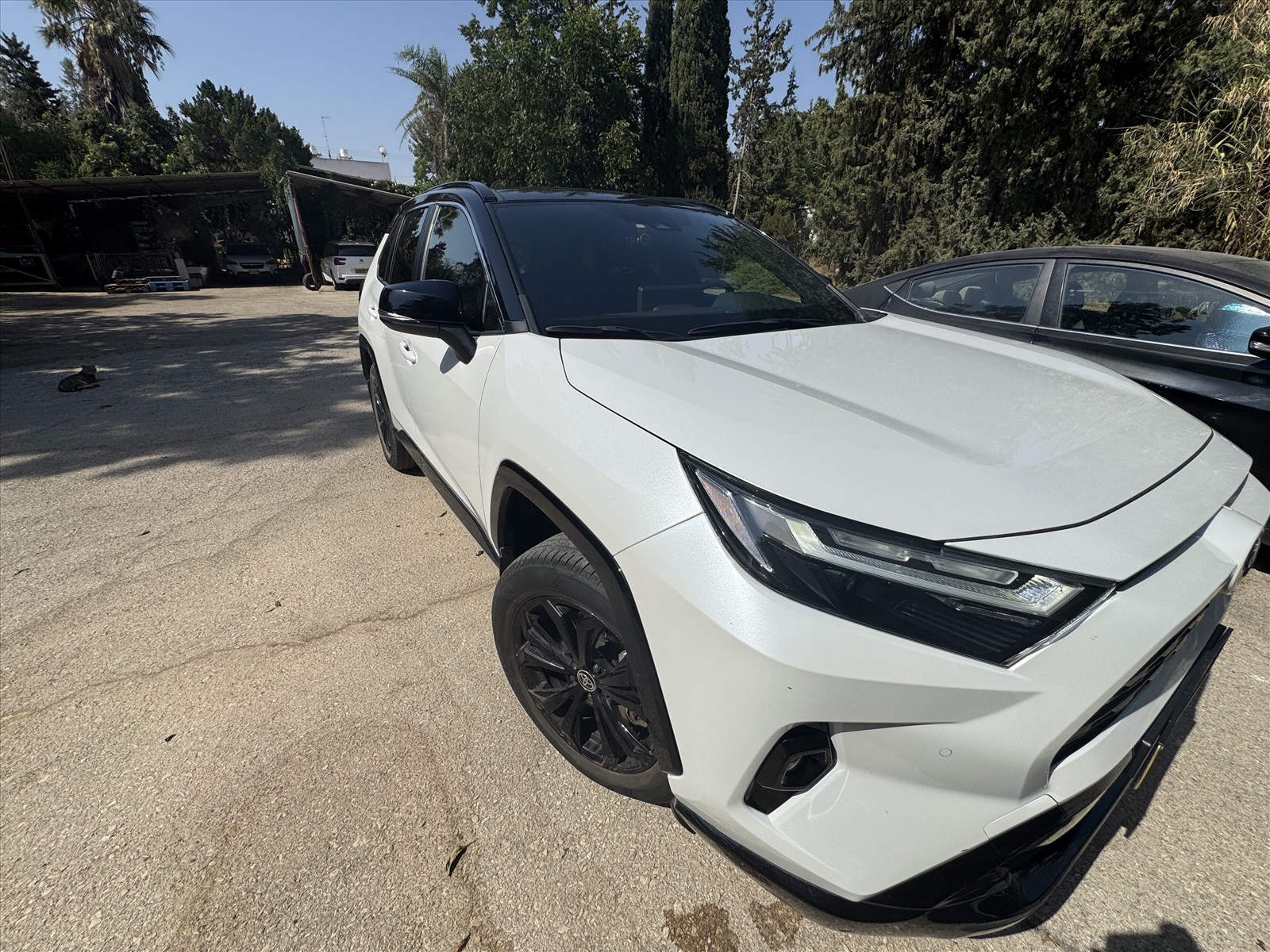 תמונה 4, טויוטה RAV4 יד 1 2024 | 29800 קמ