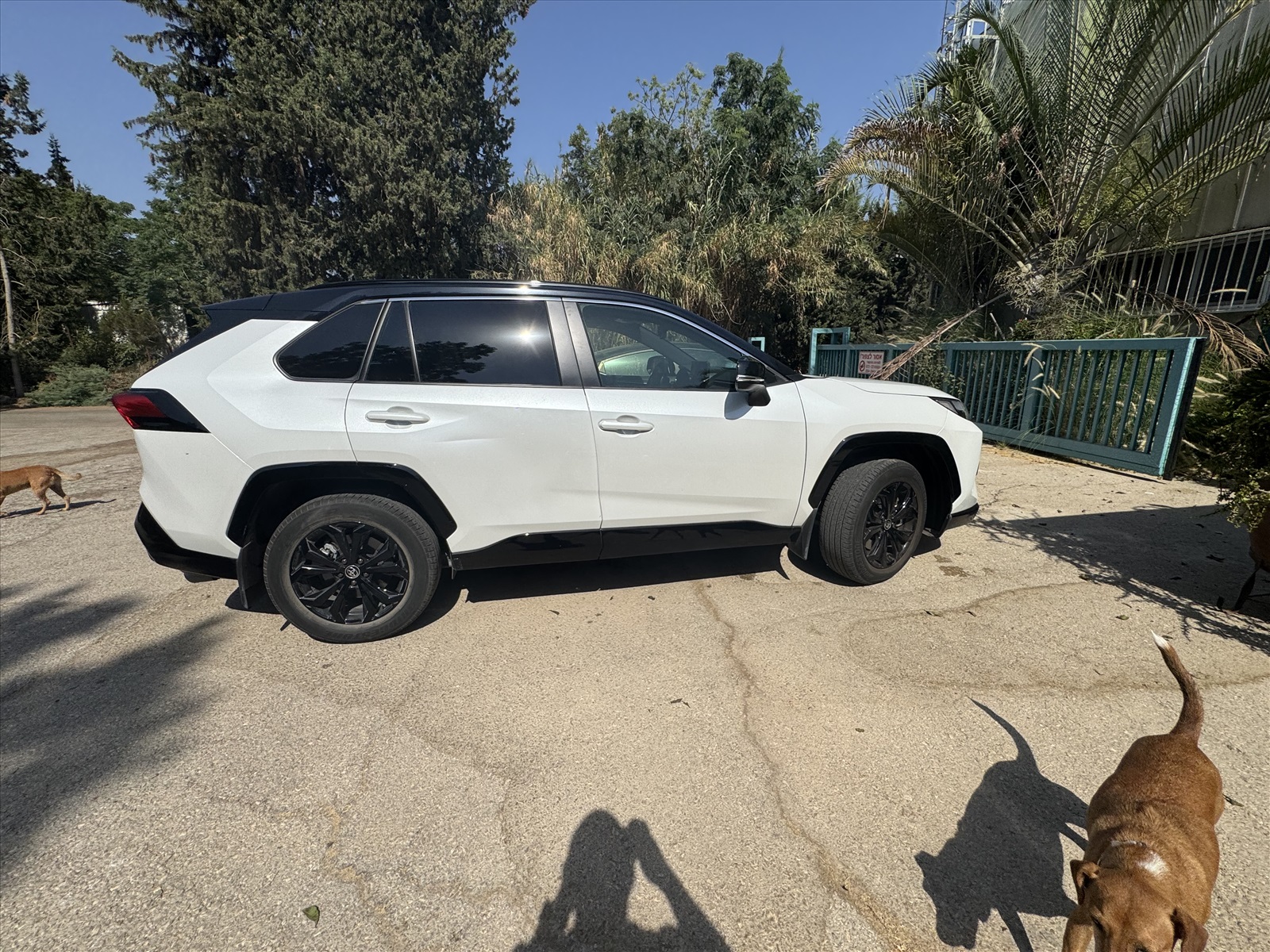 תמונה 2, טויוטה RAV4 יד 1 2024 | 29800 קמ