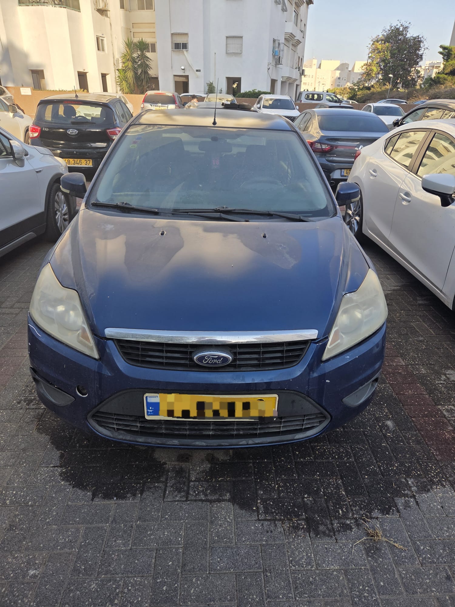 תמונה 4, פורד פוקוס יד 3 2009 | 0 קמ