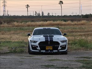 פורד מוסטנג 2020 יד  3 
