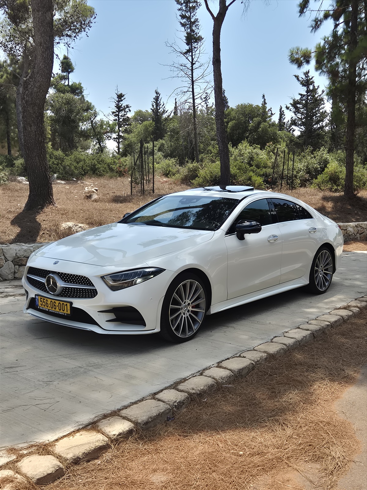 תמונה 1, מרצדס CLS יד 3 2019 | 134000 קמ