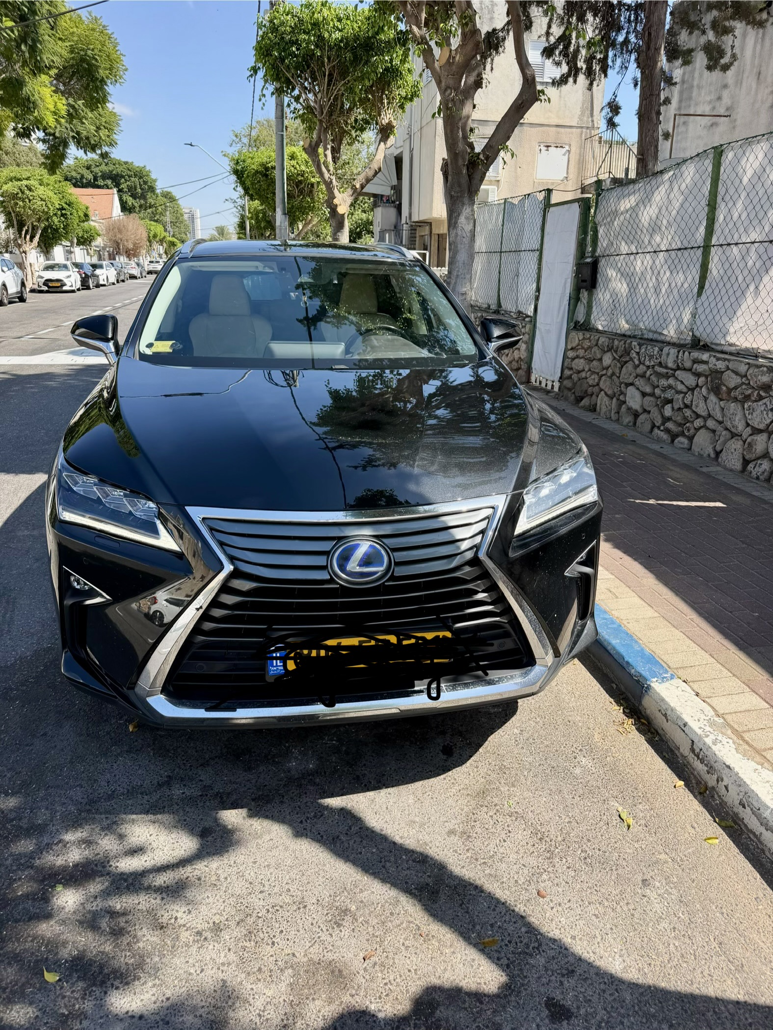 תמונה 2, לקסוס RX יד 2 2019 | 96000 קמ