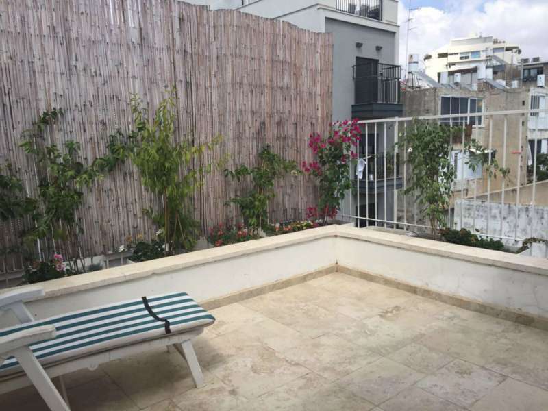 תמונה 2 ,דירת גן 4 חדרים להשכרה בתל אביב יפו עמוס הצפון הישן