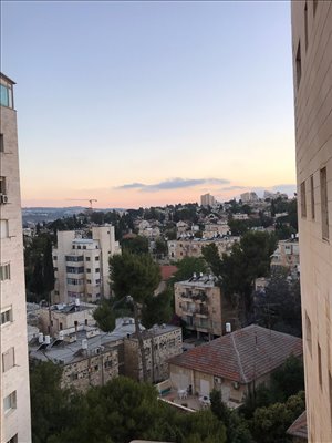 דירה להשכרה 3 חדרים בירושלים דוד אלרואי 