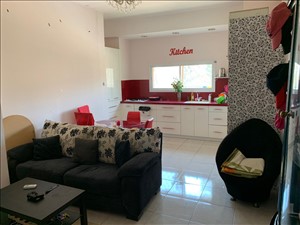 דירה להשכרה 2 חדרים בחיפה דוד רזיאל 